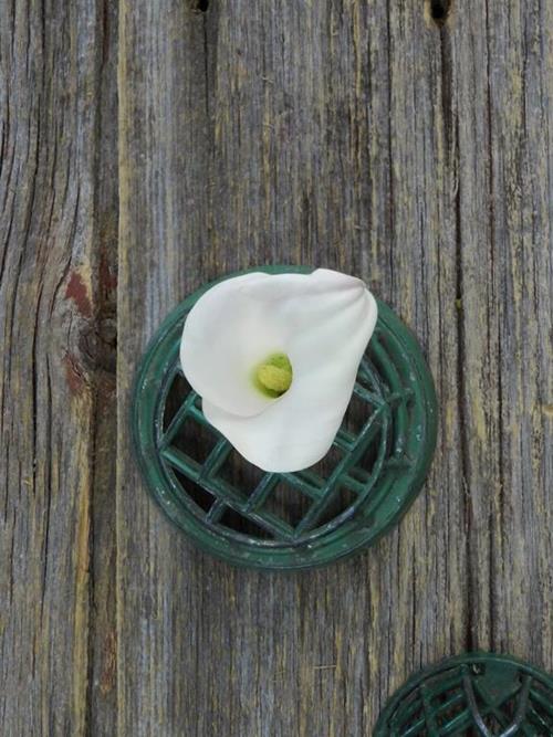 CRYSTAL BLUSH  WHITE MINI CALLA LILY
